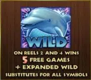 Autoslot-Dolphin-reef-ดอลฟิน-รีฟ-Wild