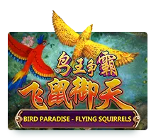 Bird-Paradise-joker